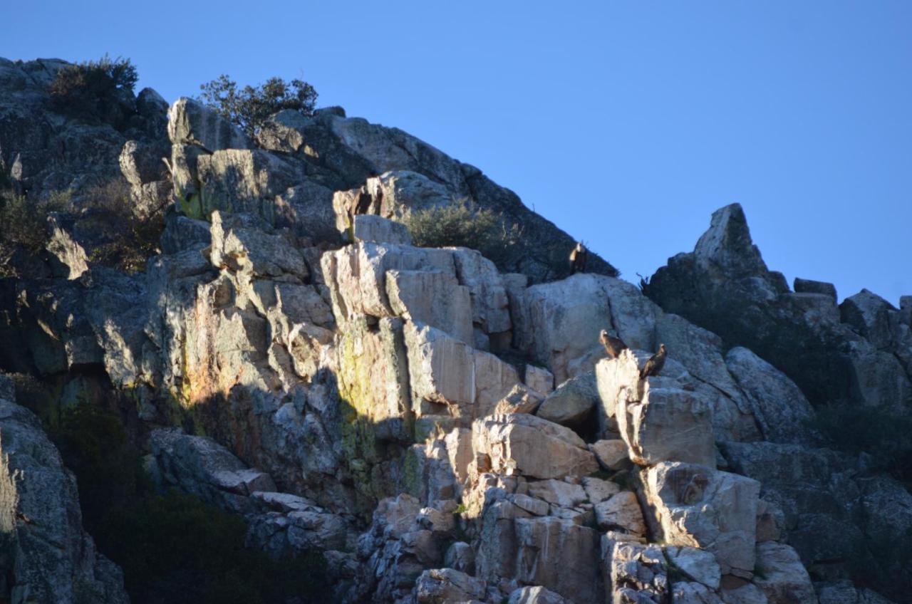 Alojamiento La Canada Monfrague Torrejón el Rubio Buitenkant foto